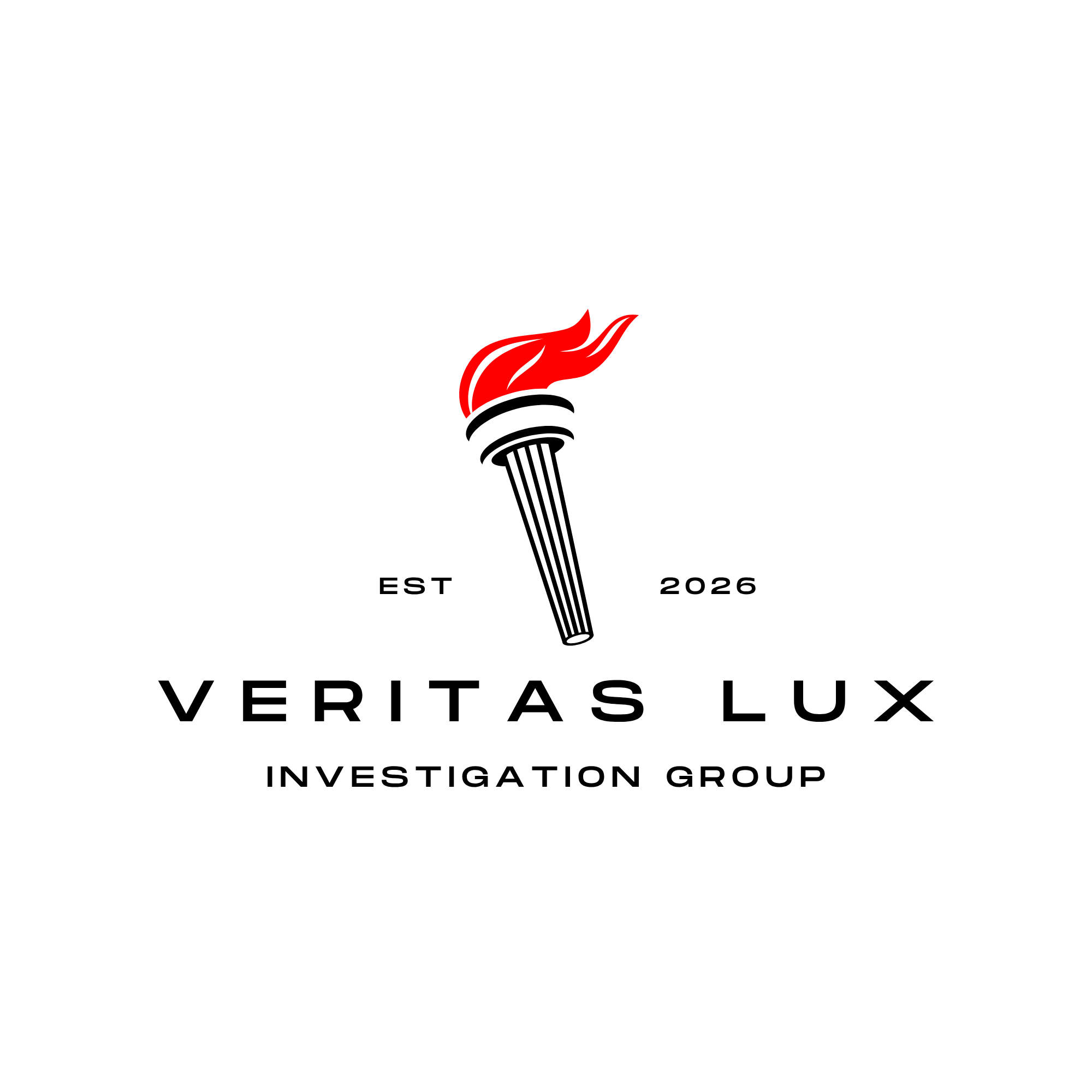 VLIG Logo